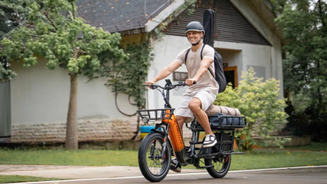 Cargo Electric Bikes