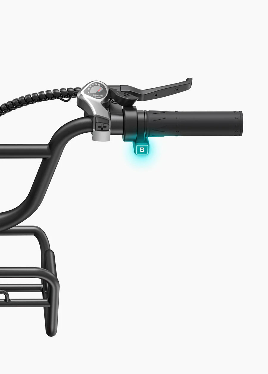 ENGWE L20 Boost Torque Sensor Electric Fat Tire Bike
