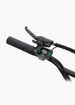 ENGWE L20 Boost Torque Sensor Electric Fat Tire Bike