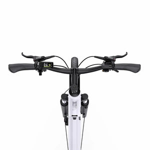 OneSport OT07 Mid-drive E-Bike