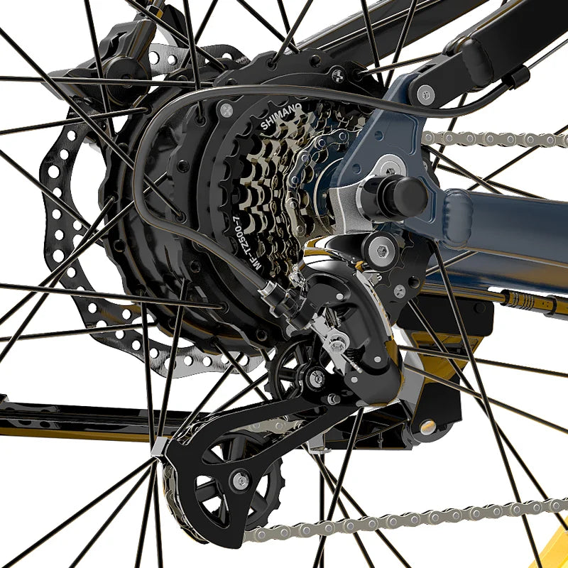 LANKELEISI RV700 Explorer Electric Hunting Bike