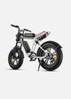 ENGWE M20 Full Suspension Fat Tire E-bike