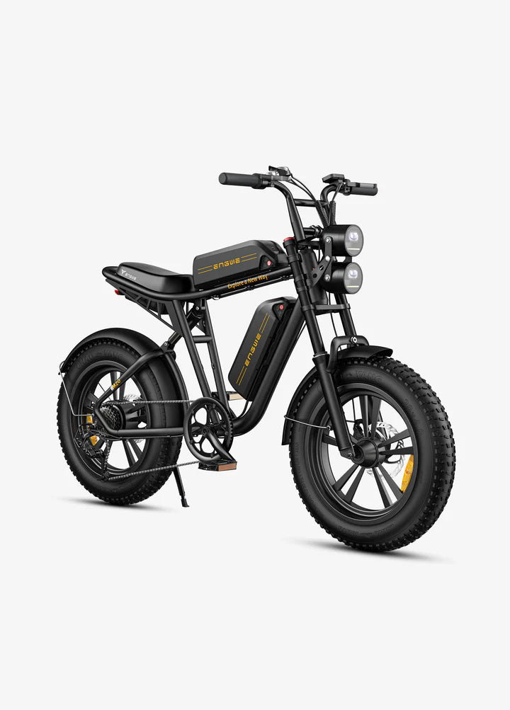 ENGWE M20 Full Suspension Fat Tire E-bike