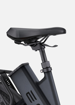 ENGWE P275 ST Step Thru E-bike à entraînement central