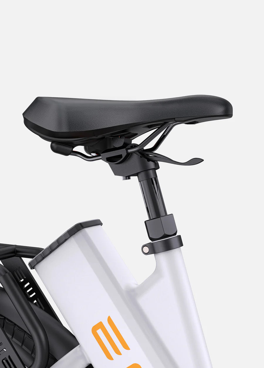 ENGWE P275 ST Step Thru E-bike à entraînement central