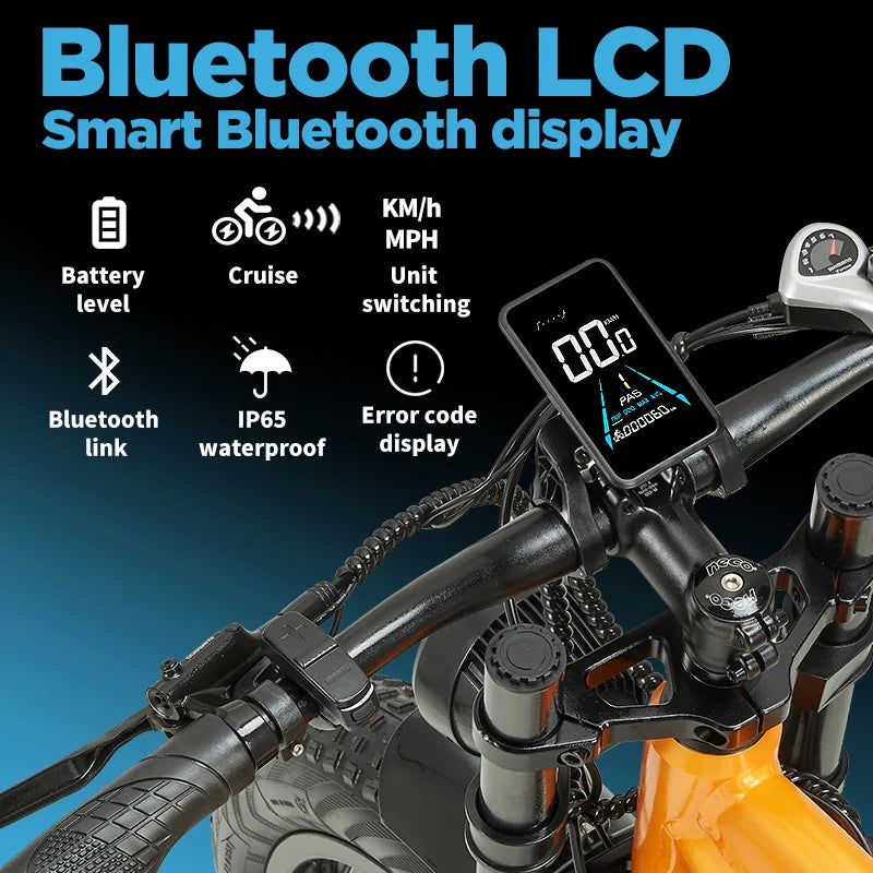Vélo Électrique FAT à Double Suspension PULUMA PH003 MAX 2000 W