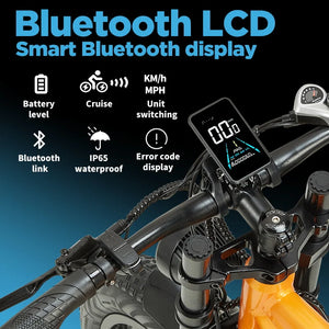 Vélo Électrique FAT à Double Suspension PULUMA PH003 MAX 2000 W