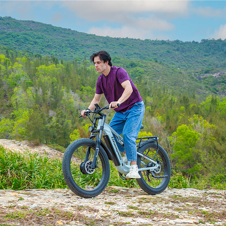 Shengmilo S600 Pendler-Elektrofahrrad mit Doppelmotor
