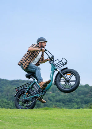 ENGWE L20 Boost Torque Sensor Electric Fat Tire Bike