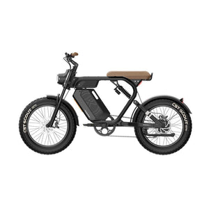 Kuiperbelt S1 Sportliches All-Terrain E-Bike
