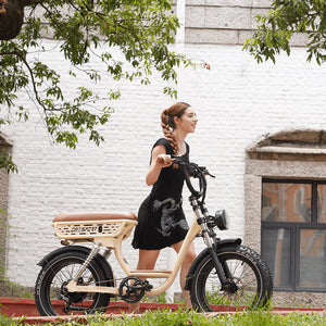 OneSport W77 E-Bike mit Fat Tires